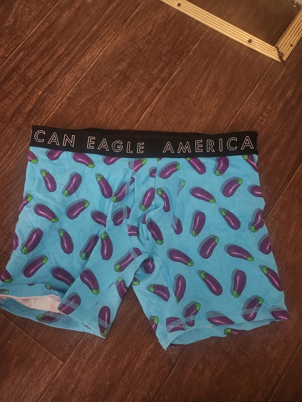 American Eagle Outfitters Light Blue Boxer Briefs with Purple Eggplant Print